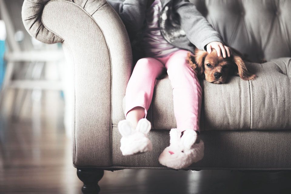 little girl sitting with on a large padded armchair with her young dog